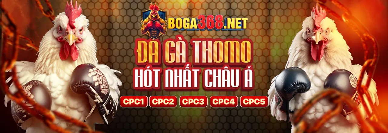 Đá gà trực tuyến 32win11